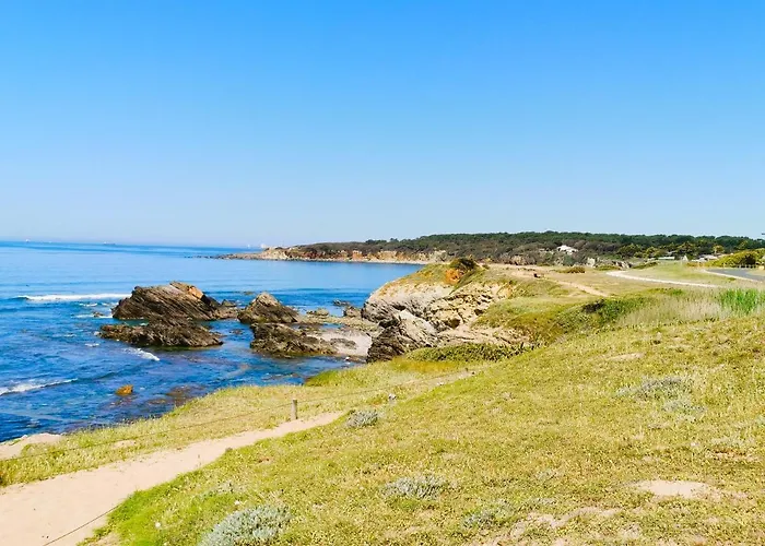 公寓 La Calypsette - Face Grande Des Sables D'olonne *