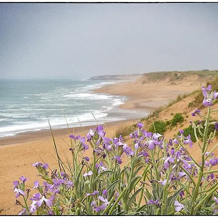 La Calypsette - Face Grande Des Sables D'olonne